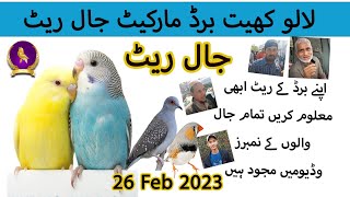Lalukhet Birds Market Jaal Rate Update 2 April 2023 | Karachi Birds jaal price 02-04-2023 |