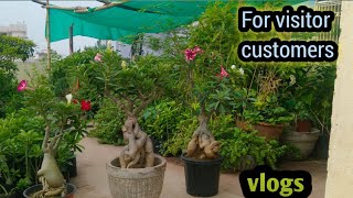 Massage for visitor customers
