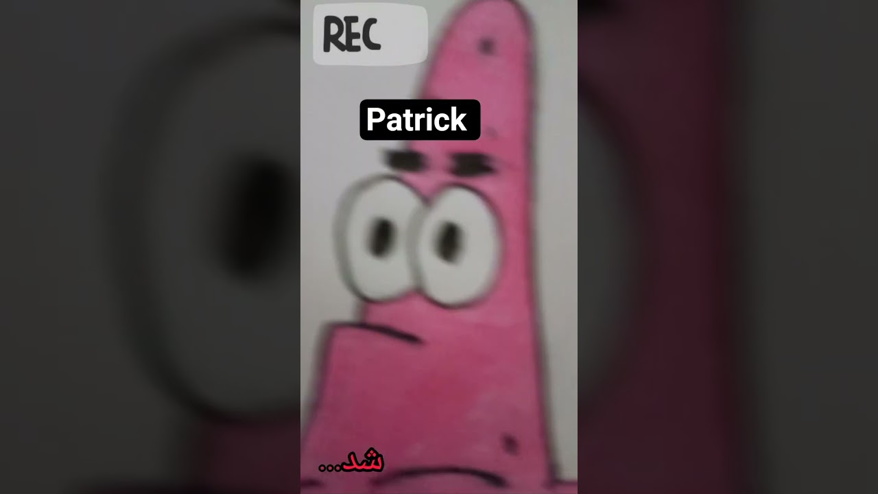 patrick: l'm not dumb.l'm just stupid به خدا انیمه با کارتن فرق داره ...