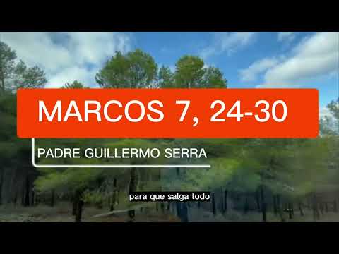 ✴️ EVANGELIO del DÍA 9 de FEBRERO con el PADRE GUILLERMO SERRA 📌 MARCOS 7, 24-30