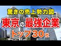 【徹底解説!】東京都の最強企業🏢トップ30社🚁(2025年売上高ランキング)ケタ違いの売上を誇る企業を詳しく解説!東京の企業で売上高・年収が高い企業は?【空から見る】