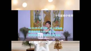 六根不動,從人道抽離,圓滿空性最大的一項工程你就快完成了,你就光化很容易#子归家#杨宁老师#明心见性#解脱#任督二脈#情感疗愈#上师灌顶#禅定#静坐#冥想#中道#一体#空性#根塵脫落#佛学#圓覺#觉醒