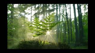 John Denver - Let It Be (Slowed   Reverb)