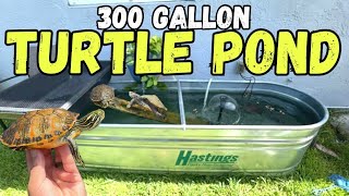 300 Gallon Turtle Pond Update! NEW TURTLE!
