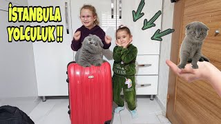 Bahar Ve Banu Alya İstanbula Gi̇di̇yor Yolculuk Boyunca Acaba Neler Oldu Neler ?