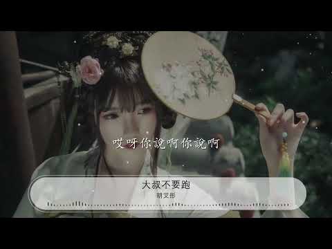 大叔不要跑 - 胡艾彤『哎呀你說啊你說啊』【動態歌詞Lyrics】