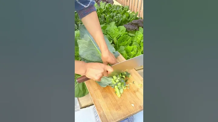 Feeding Chicken With Fresh Vegetable  #satisfying #short - DayDayNews