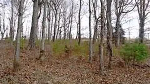 Homes for Sale - 1714 Jockey Rd Chuckey TN 37641 -...