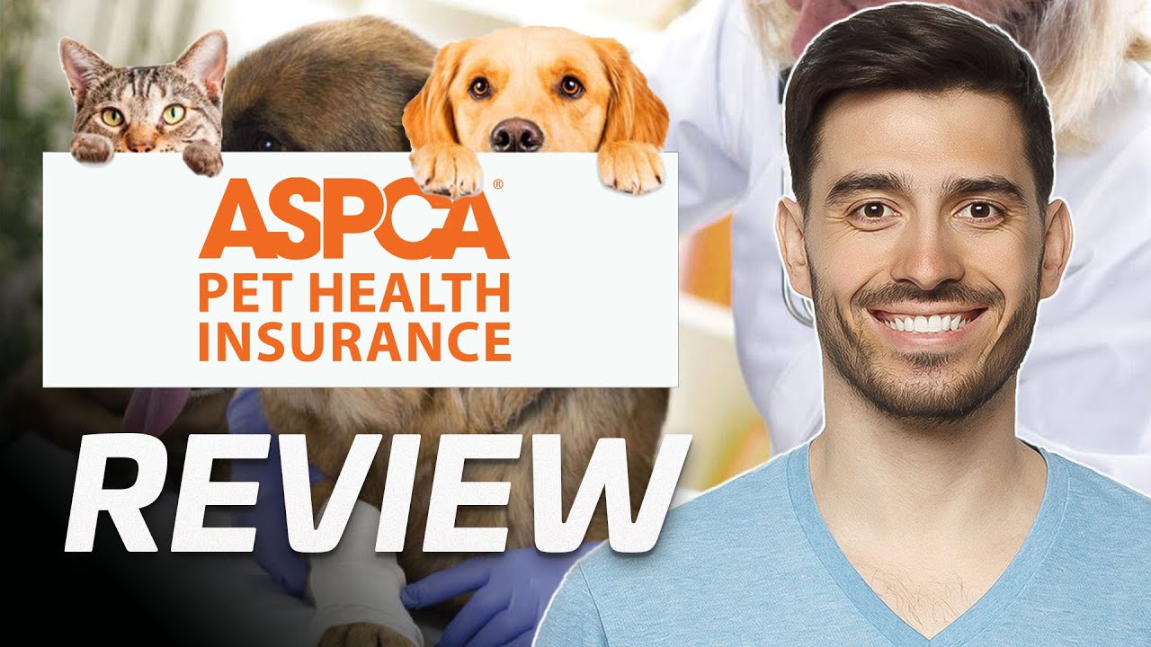 ASPCA Pet Insurance Review Is It Worth It? (2024) YouTube