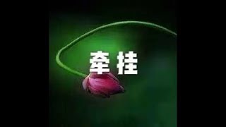 202201 牵挂51598