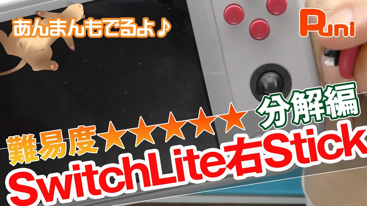 修理 分解編】SwitchLiteの難易度が高い『右スティック』を交換する
