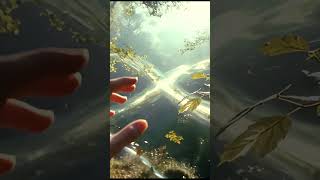 WHEN SCIENCE AND SPIRIT UNITE | Manifesto