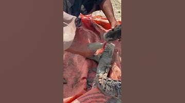 Soil Testing For Building Piles Foundation #shorts