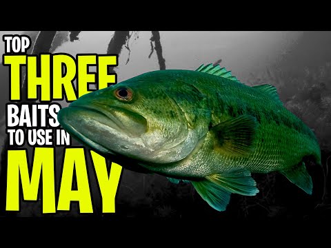THREE BASS FISHING