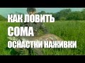 ЛОВЛЯ СОМА - ОСНАСТКИ, НАЖИВКИ на РЫБУ СОМ