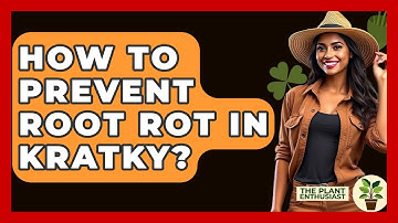 How To Prevent Root Rot In Kratky? - The Plant Enthusiast