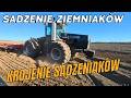 Intensywny poniedziałek. Krojenie sadzeniaków i wszystko na raz.