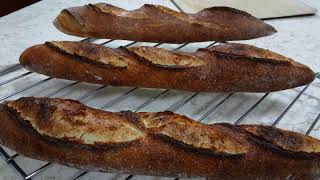 Sourdough Baguettes, Bread Flour, 100% Natural Levain.