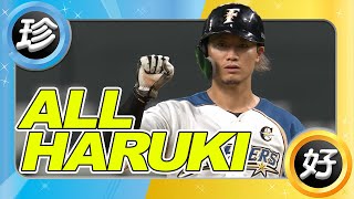 ずっと見ていられる「色々HARUKI」