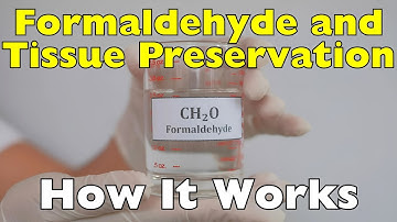 Hoe conserveert formaldehyde organisch weefsel?