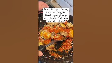 Sambal Jengkol Dicampur sama Ikan Teri medan rasanyaa juara! #food #masak #cooking