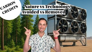 Carbon Credits Explained - What's Really Behind Net Zero Claims