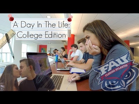 a day in the life of a university student essay a day in the life of a university student essay