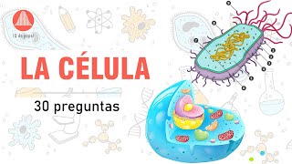 LA CÉLULA ➡️ Test de Biologia