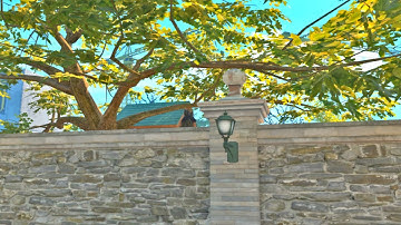 CRAZY CS2 OVERPASS BOOST !!!