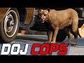 An Animal Life | Dept. of Justice Cops | Ep.829