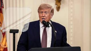 LIVE: Trump Attends Mount Rushmore Semiquincentennial Fireworks
