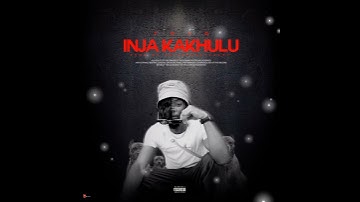 TOYO - iNja Kakhulu (Audio - Prod. SniperOneTarget)