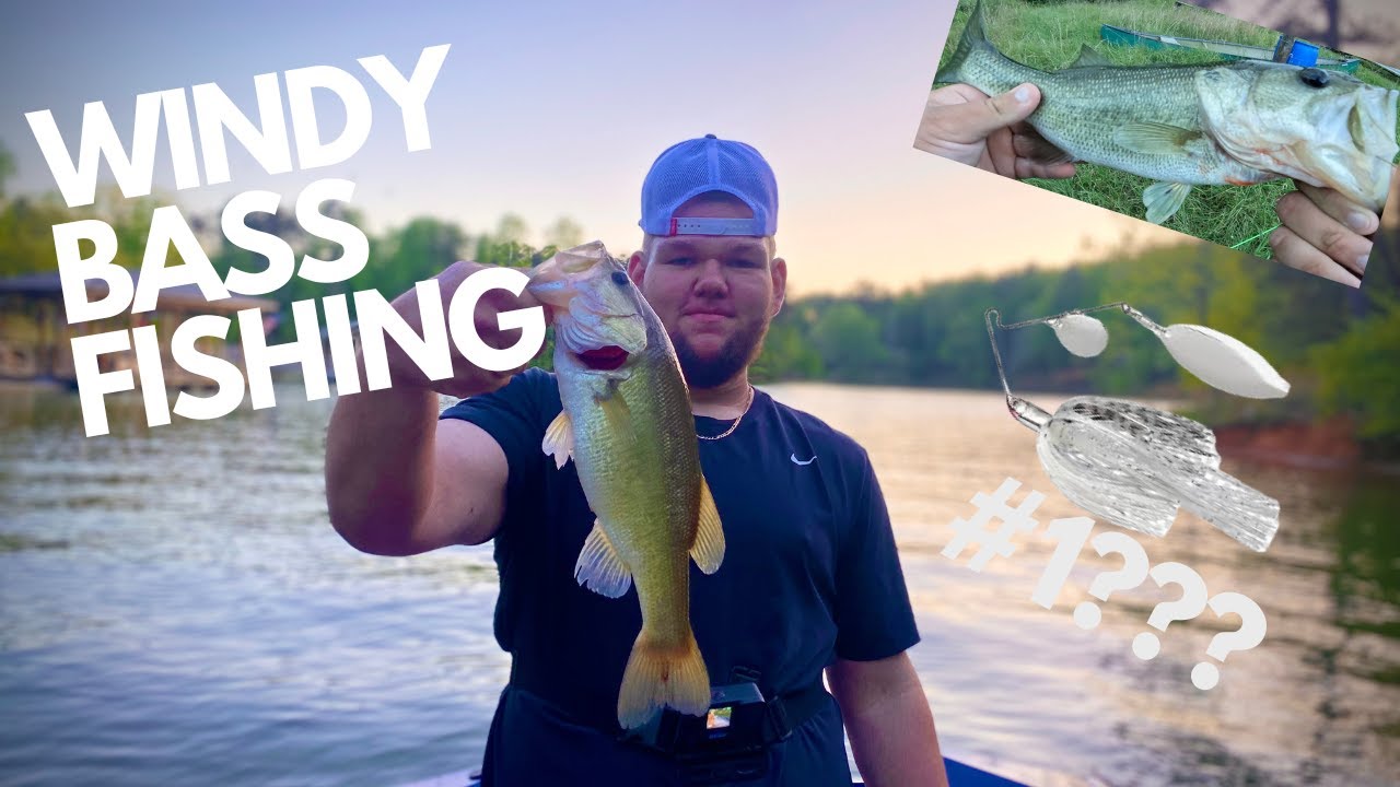TOP 3 BASS FISHING LURES (IN WIND)