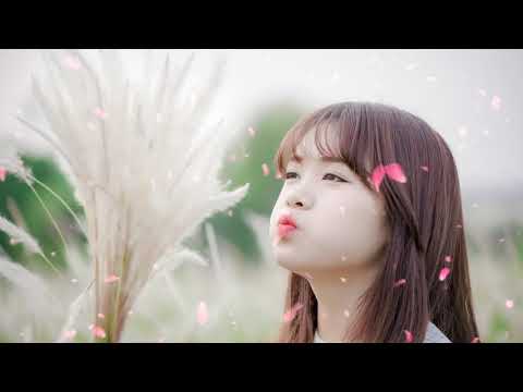 Video Nhạc chuông cực hay A better day - youtube