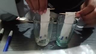 Kromatografi kertas/ XII Kimia Analisis 1