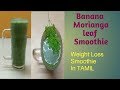 Banana Morianga leaf smoothie/ weight loss recipe/TAMIL/