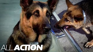 The Bionic Dog To The Rescue! | The Bionic Woman | All Action