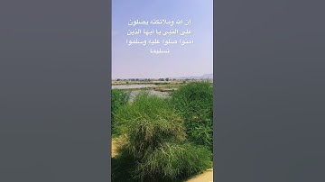 #ياسر_الدوسري #سورة_الاحزاب #قرآن_كريم #اكسبلور #quran #جازان