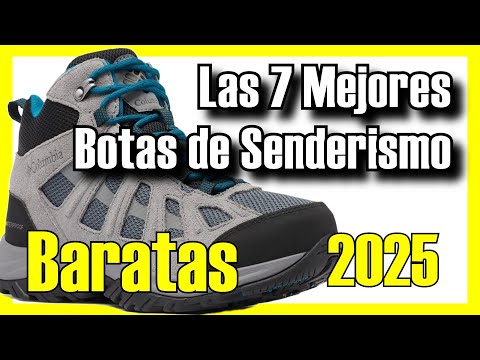  7          2025   