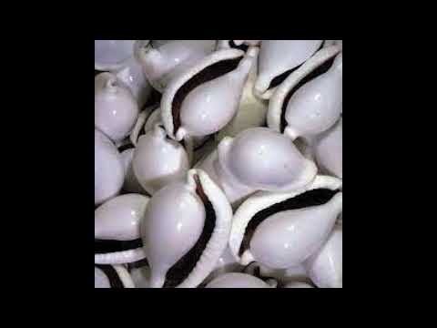 J.L. Magoya — Wong - You Are Furious! (Instrumental)