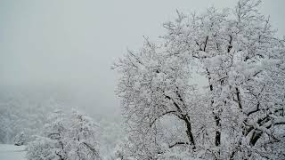 Winter-Time by the Scottish poet, Robert Louis Stevenson 1850  - 1894