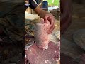 Salmon Cutting 🔥 Satisfying Knife Skills #shorts