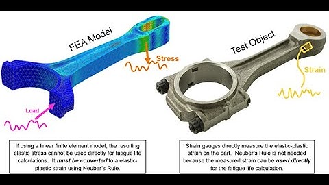 FEMFAT Basic: Beginner