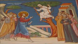 ÎPS Bartolomeu Anania - Predică la Duminica a 32-a după Rusalii - A lui Zaheu