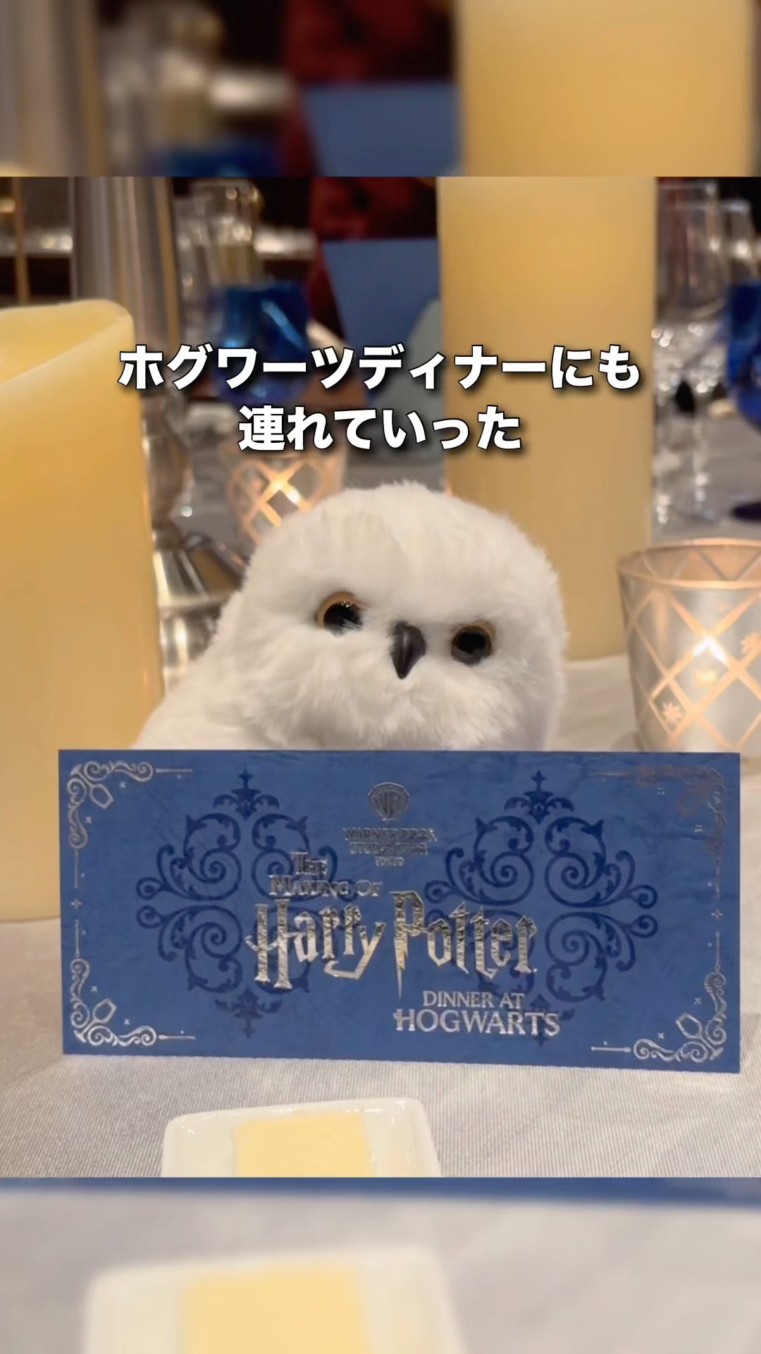 ハリポタグッズ】肩のせヘドウィグ🦉高いけど超おすすめ #ハリポタ