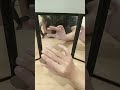 coin trick easy part 1 #trending #magic #trick #gundam