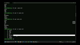 Command Practice @developerakhil part - 2 