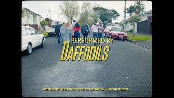 daffodils - a leo underwater