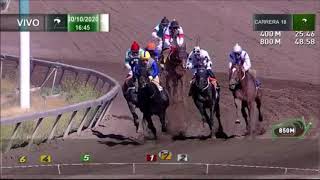 Vidéo de la course PMU PREMIO CHANGO