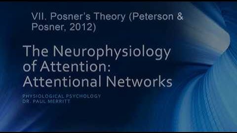 Neurophysiology of Attention: Attention Networks